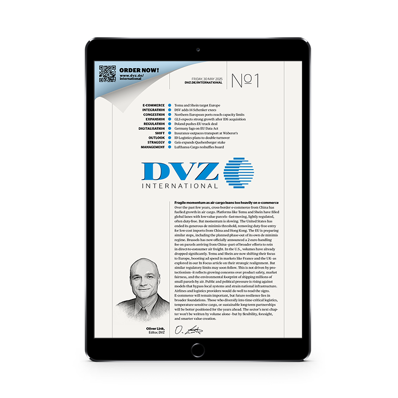 DVZ International